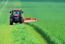 Аграрии просят восстановить железную дорогу Сарыгаш-Жетысай