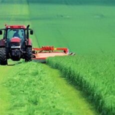 Аграрии просят восстановить железную дорогу Сарыгаш-Жетысай