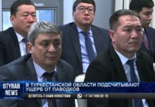 В Туркестанской области подсчитывают ущерб от паводков