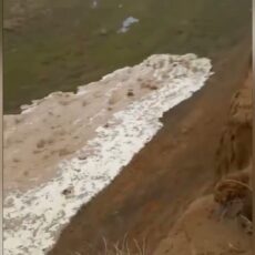 Проливные дожди топят Туркестанскую область