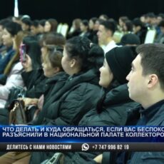 Как коллекторы должны выбивать долги из казахстанцев