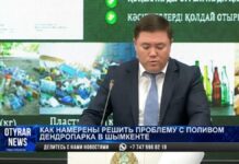 Как намерены решить проблему с поливом дендропарка в Шымкенте