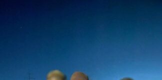 в Шымкенте задержаны организатор и поставщики синтетических наркотиков