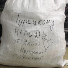 Турецкому народу от шымкентцев. Люди отправляют помощь пострадавшим
