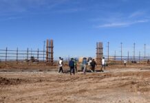 Новый ауыл образовали в Шымкенте