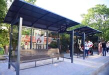 В Шымкенте установят 250 новых остановок