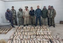 Браконьер незаконно наловил 160 кг рыбы на Шардаринском водохранилище