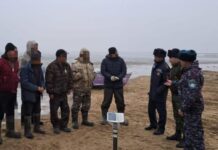 80 нарушений природоохранного законодательства выявили в области