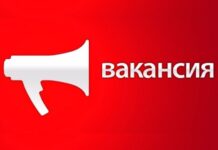 Новая подборка вакансий для жителей Шымкента