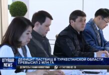 Дефицит пастбищ в Туркестанской области превысил 2 миллиона га