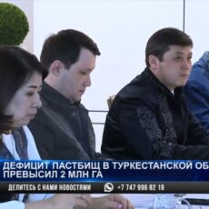 Дефицит пастбищ в Туркестанской области превысил 2 миллиона га