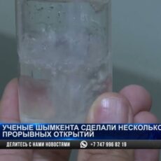 Прорывные открытия сделали ученые Шымкента