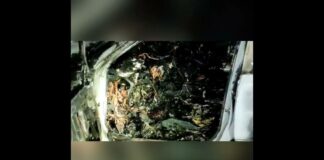 Lexus сгорел в результате ДТП в Шымкенте. Есть пострадавший