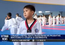 Более 2 млрд тенге выделили на развитие спорта в Шымкенте