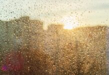 Какая погода ожидается в южном мегаполисе