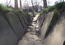 Почему в Шымкенте не работает ирригационная система