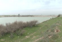 Водоемы в Шымкенте заполнены на 70%