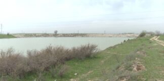 Водоемы в Шымкенте заполнены на 70%