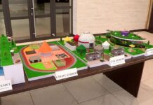 7 необычных парков предлагают возвести активисты в Шымкенте