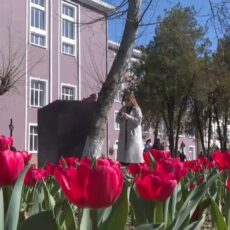 Какая погода ждет шымкентцев в выходные