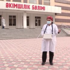 В Шымкенте будут травить комаров и мошек