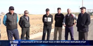 Без электричества и интернета живут сельчане и бьют тревогу