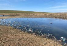 Жители Састобе задыхаются от зловония канализации