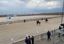 Новый ипподром официально открыли в Шымкенте