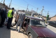 Кипу Трамадола изъяли на трассе полицейские Туркестанской области