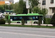 О состоянии пострадавших в ДТП рассказали врачи Шымкента