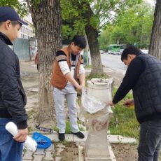 В Шымкенте вновь заработали питьевые фонтаны