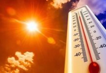 27-градусная жара ожидается в Шымкенте