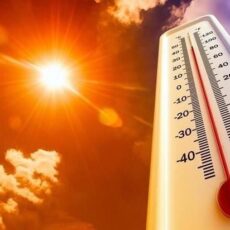 27-градусная жара ожидается в Шымкенте
