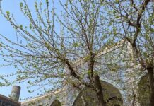 Колоритный weekend недалеко от Шымкента или что посмотреть у солнечного соседа