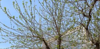 Колоритный weekend недалеко от Шымкента или что посмотреть у солнечного соседа