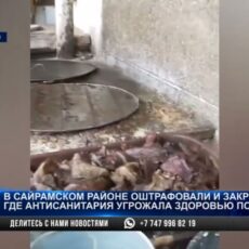 Кишечную палочку обнаружили в кафе Сайрамского района