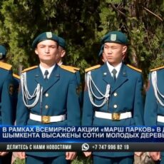 В дендропарке высадили сотни молодых деревьев