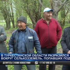 Скандал вокруг сельхозземель разразился в Туркестанской области