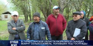 Скандал вокруг сельхозземель разразился в Туркестанской области
