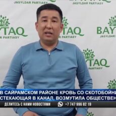 Экологическую катастрофу предрекают в Сайрамском районе специалисты