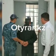 Подозреваемый в изнасиловании девочки пойман