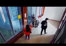 В Шымкенте девочка разбила стекло вольера с обезьянами