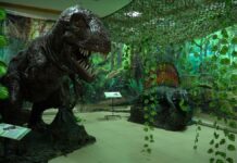 Выставка динозавров открылась в Шымкенте