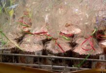 Шымкентские куличи уже не те, они стали в два раза дороже