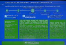 Геопортал Шымкента будет запущен в мае