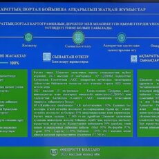 Геопортал Шымкента будет запущен в мае