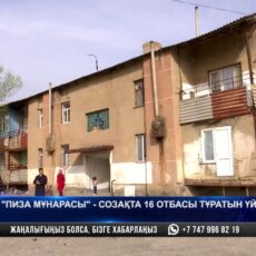 Полчища тараканов атаковали квартиры в Шымкенте