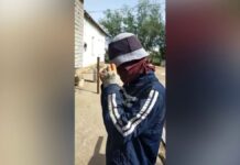 Тучи насекомых атакуют жителей Туркестанской области