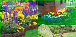 Самые красивые дворы, которые вы должны посетить в Шымкенте