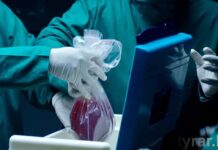 Отец стал донором почки для дочери в Шымкенте